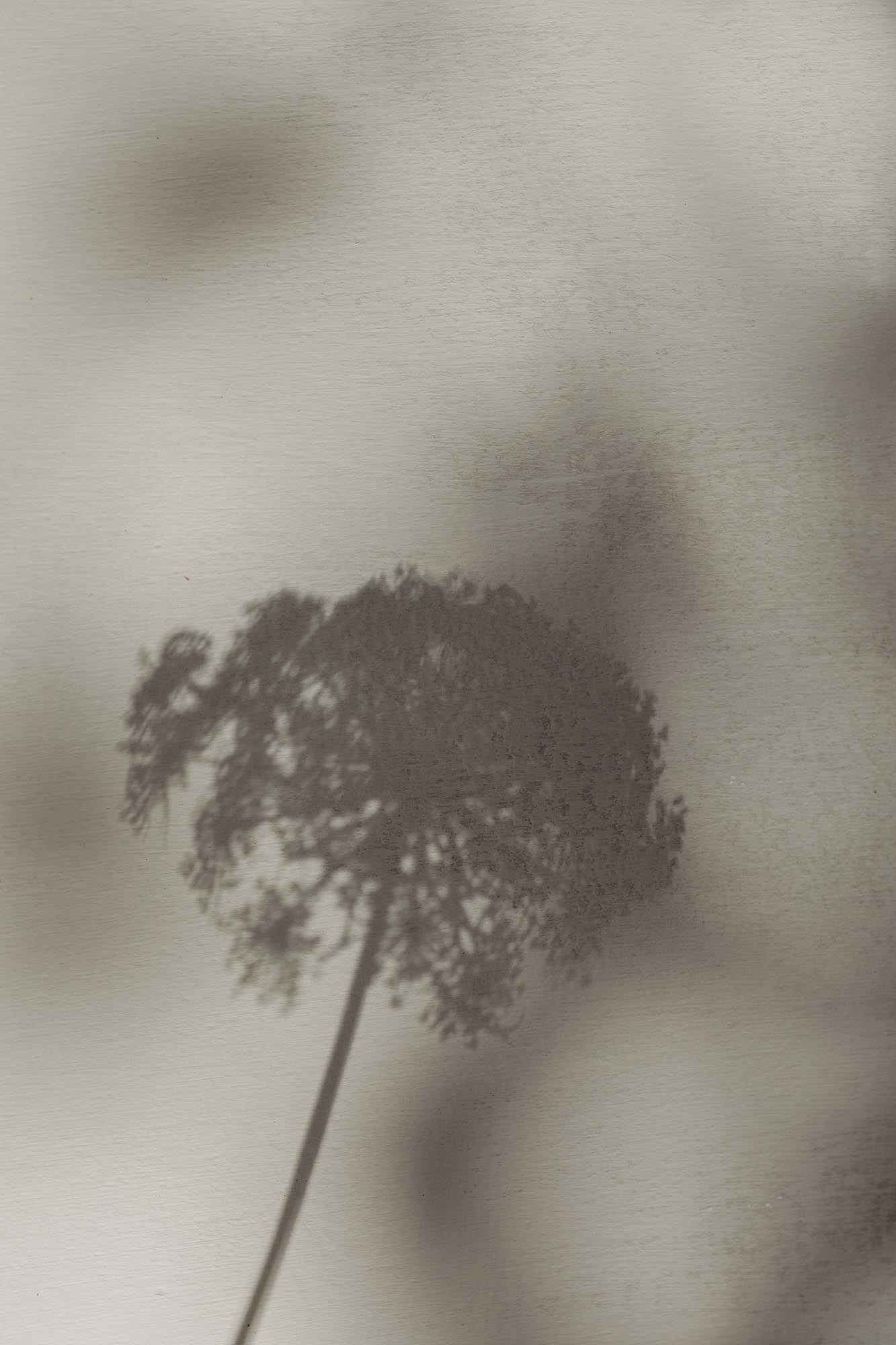 kaboompics bright and warm free backgrounds or wallpapers 27485